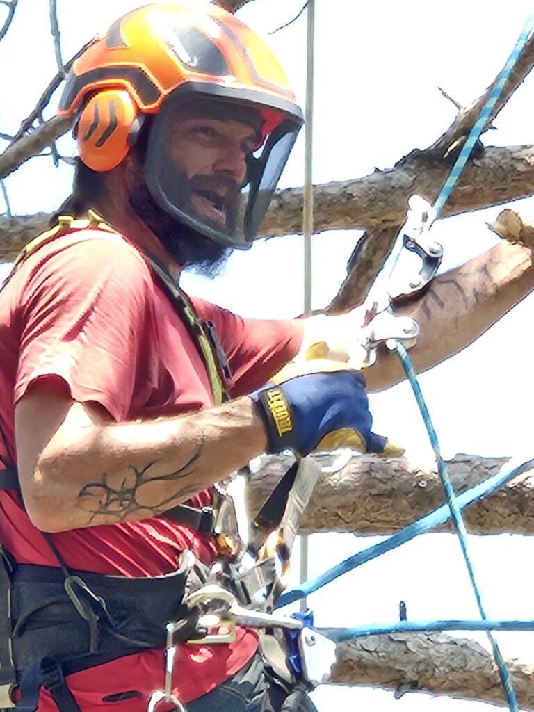 Close up of Dwight in tree