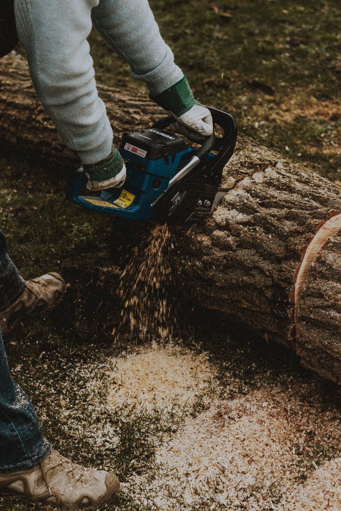 From above of crop anonymous male cutting dry tree trunk with electric saw against friend on lawn in countryside